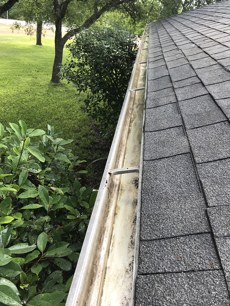 gutter and black roof