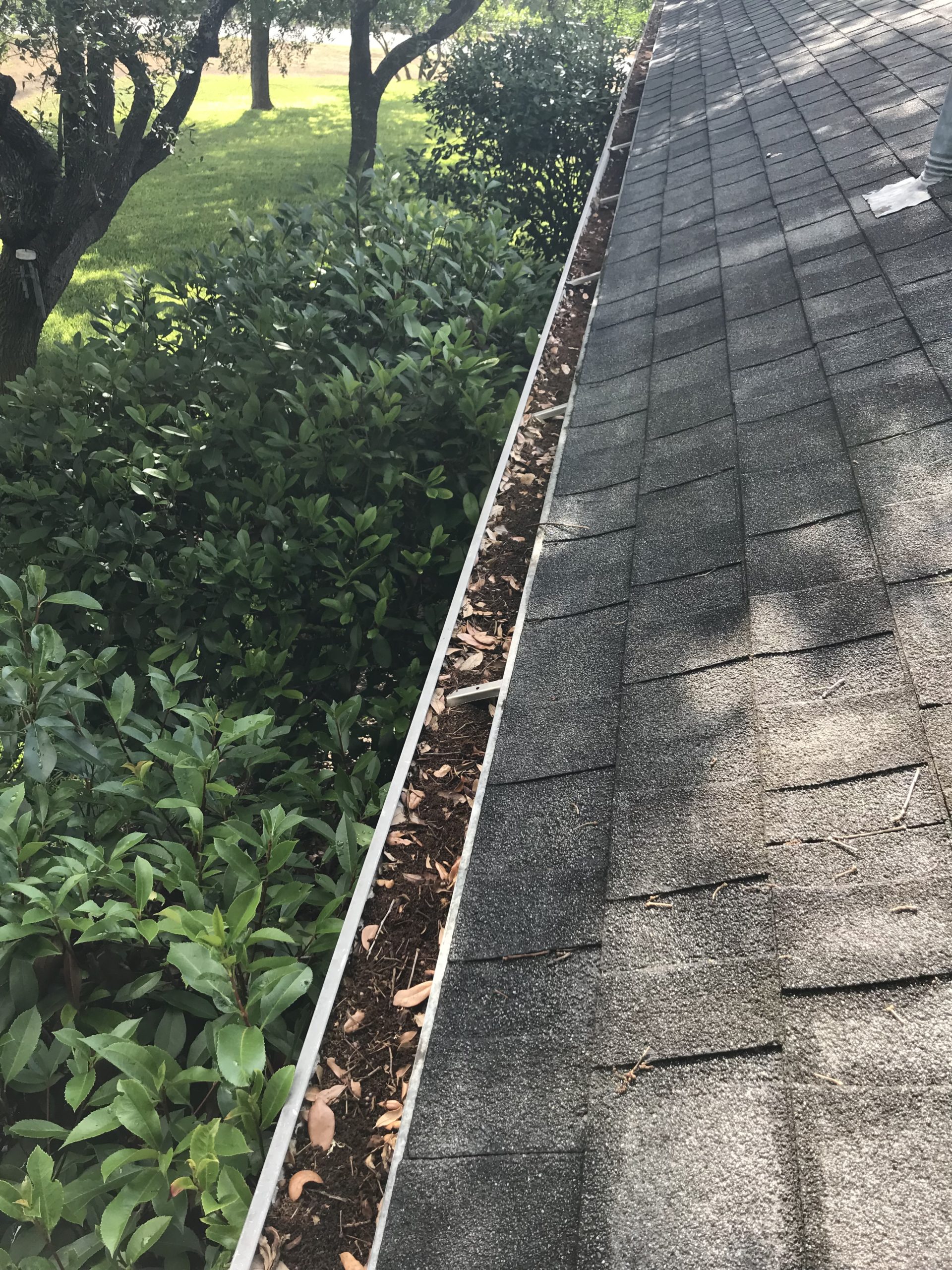 Photo Jun 26, 09 18 17