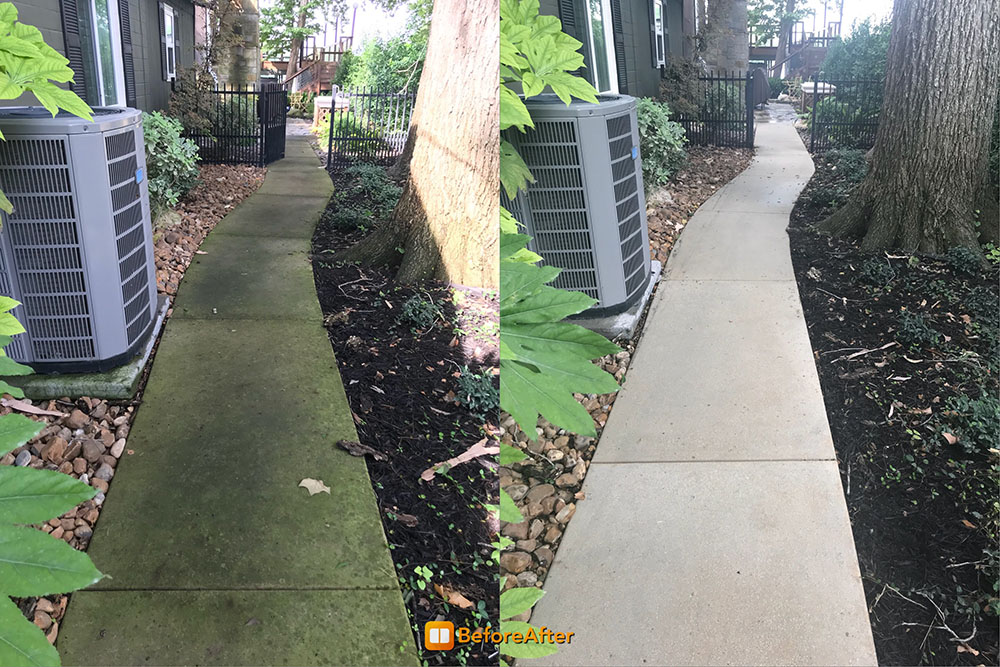 before and after cleaned walkway with tree