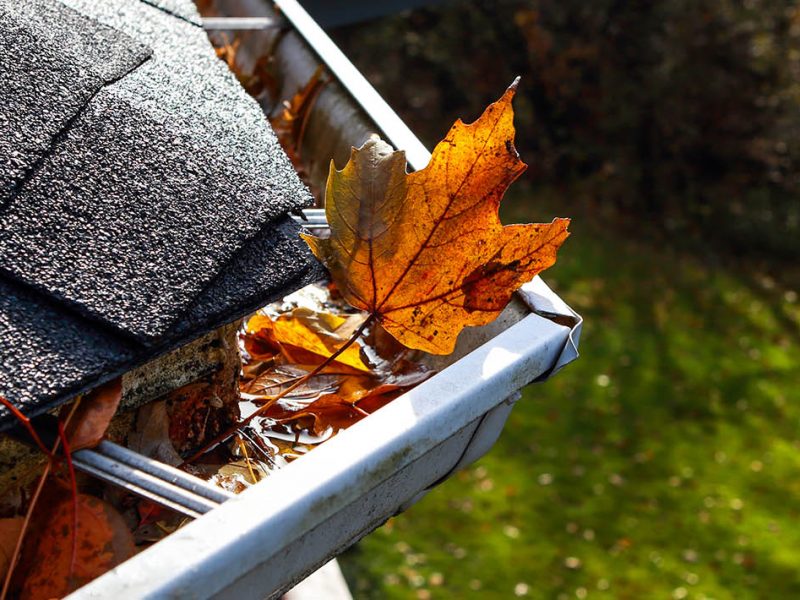 clogged gutter with orange leaf
